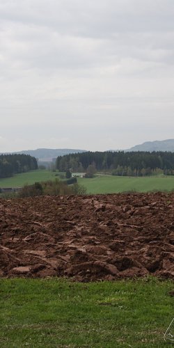 2013 Svojek Mirek Topinka
